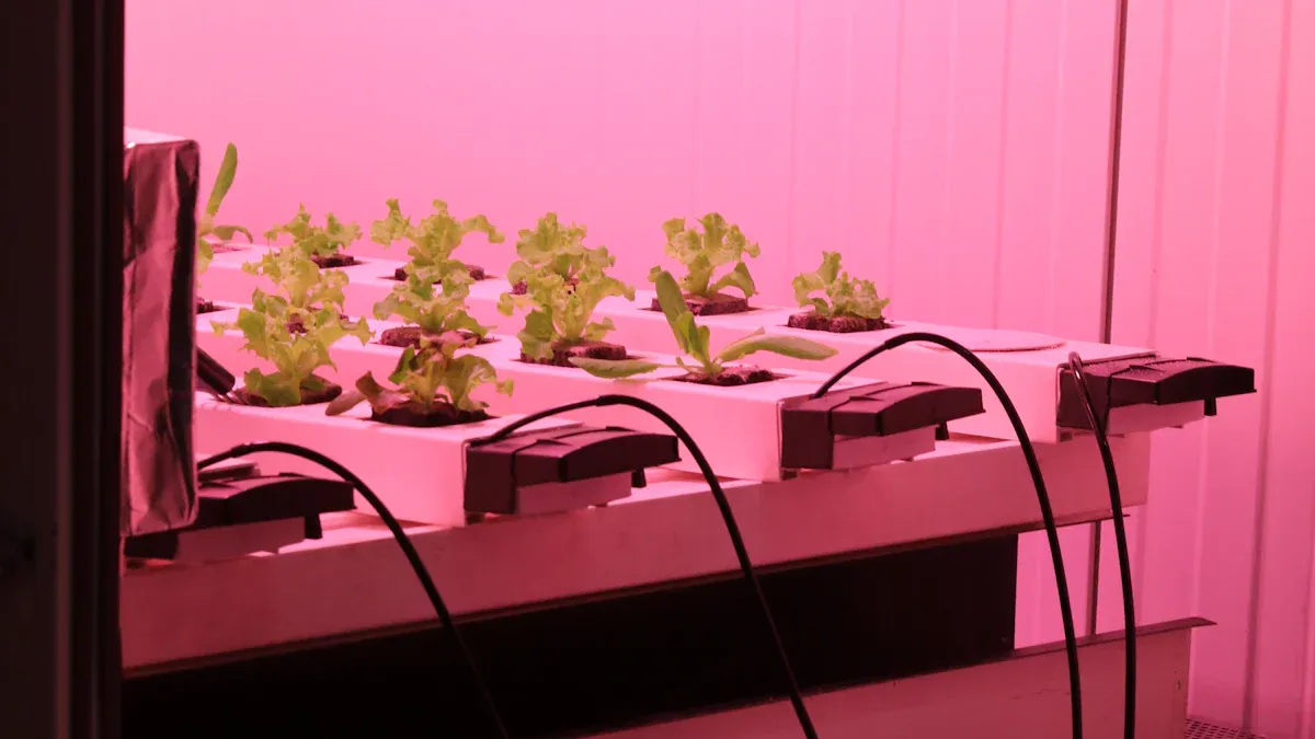 ဒေါင်လိုက်ကြီးထွားလာသောအလင်းများသည်သင်၏အပင်များပိုမိုကောင်းမွန်လာသည်